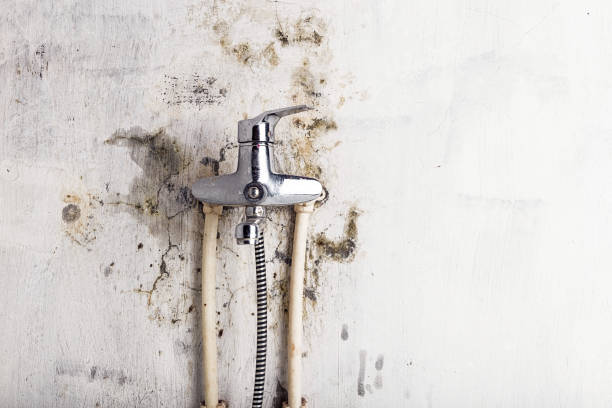 Best Water Damage Restoration  in Angels, CA