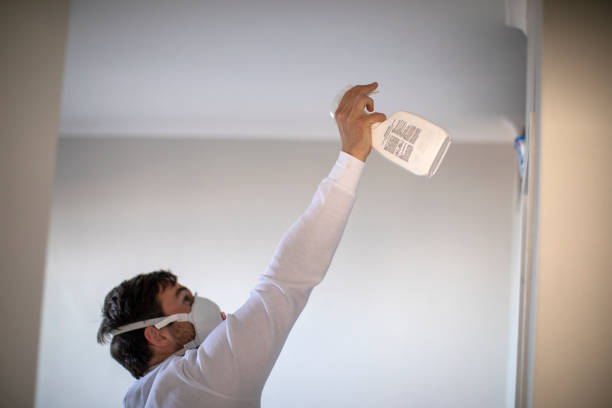 Best Fast Mold Removal  in Angels, CA