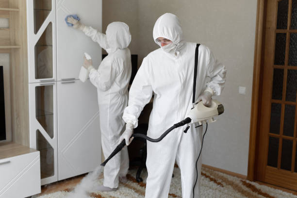 Crawl Space Mold Removal in Angels, CA