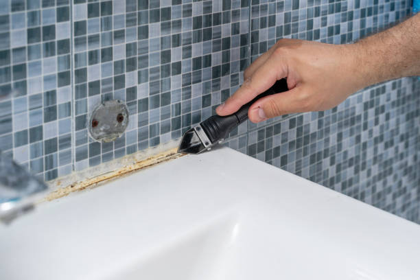 Best Emergency Mold Removal  in Angels, CA