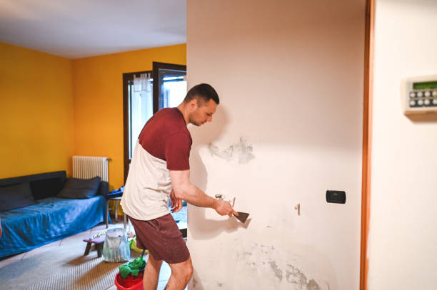 Best Fast Mold Removal  in Angels, CA